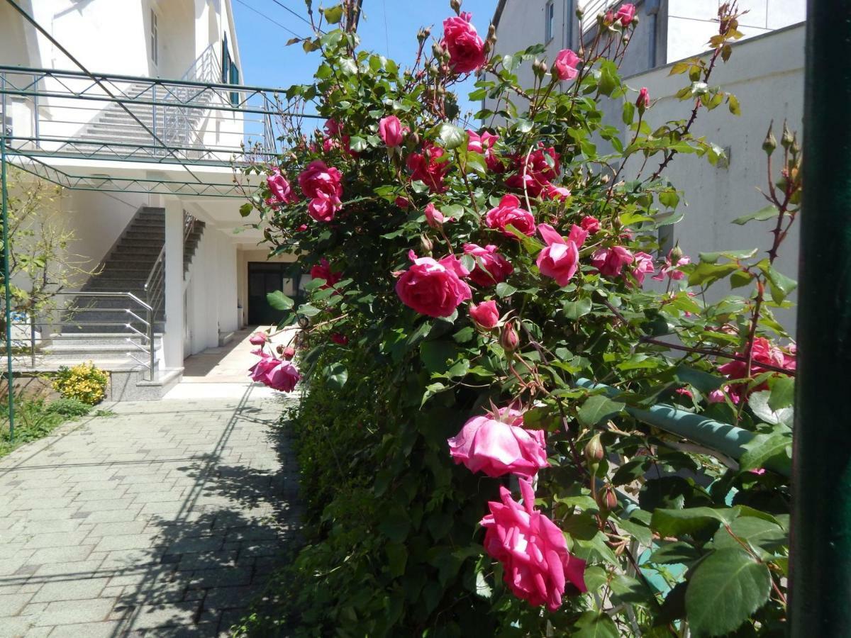 Lemon Tree Apartments Задар Екстериор снимка